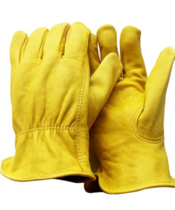 Gloves /Hair Nets